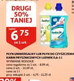 Auchan Płyn uniwersalny lub płyn do czyszczenia kabin prysznicowych Ludwik oferta