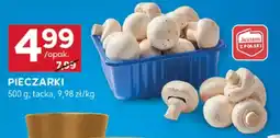 Stokrotka Optima Pieczarki oferta