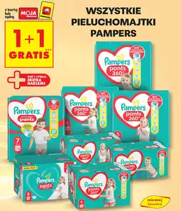 Biedronka Pieluchomajtki Pampers oferta