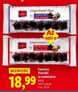 Lidl Pierniki w czekoladzie Favorina oferta