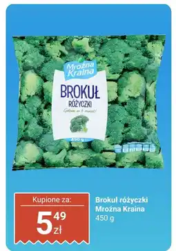 Biedronka Brokuł różyczki 450 g Mroźna Kraina oferta