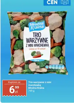 Biedronka Trio warzywne z mini marchewką 750g Mroźna Kraina oferta