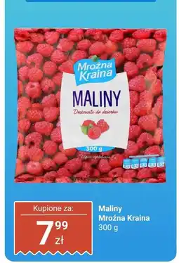Biedronka Maliny 300 g Mroźna Kraina oferta