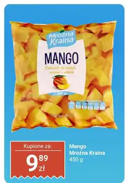 Biedronka Mango 450g Mroźna Kraina oferta