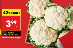 Biedronka Kalafior na wagę Biedronka oferta