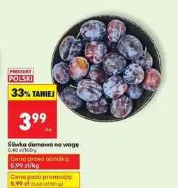 Biedronka Śliwka domowa na wagę Biedronka oferta