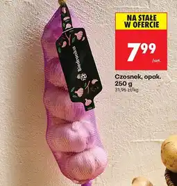 Biedronka Czosnek Biedronka oferta
