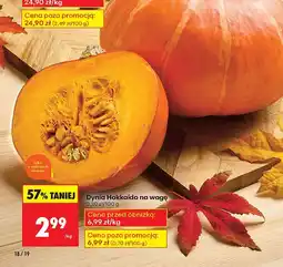 Biedronka Dynia Hokkaido Biedronka oferta