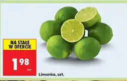 Biedronka Limonka Biedronka oferta