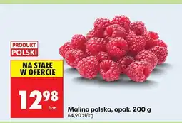 Biedronka Malina polska, opak. 200 g Biedronka oferta