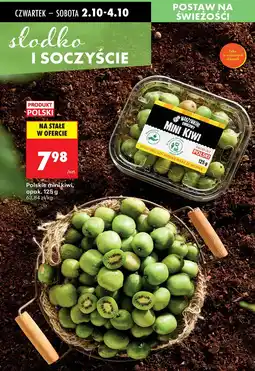 Biedronka Mini kiwi 125 g Biedronka oferta