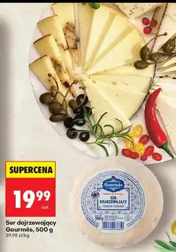 Biedronka Ser dojrzewający Gourmés 500 g oferta