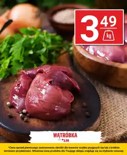 Hitpol Wątróbka Hitpol oferta