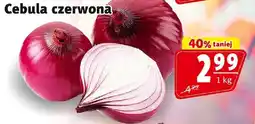 Prim Market Cebula czerwona 1 kg Prim Market oferta