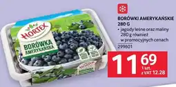 Selgros Borówki amerykańskie 280g Hortex oferta