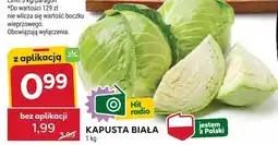 Stokrotka Kapusta biała Stokrotka oferta