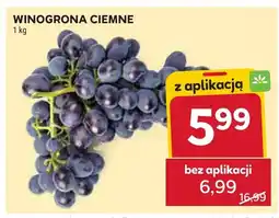 Stokrotka Winogrona ciemne Stokrotka oferta