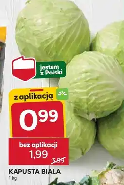 Stokrotka Kapusta biała 1 kg Stokrotka oferta