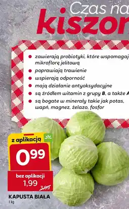 Stokrotka Kapusta biała 1kg Stokrotka oferta