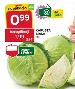 Stokrotka Kapusta biała 1kg Stokrotka oferta