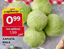 Stokrotka Kapusta biała 1kg Stokrotka oferta