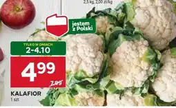 Stokrotka Kalafior 1 szt. Stokrotka oferta