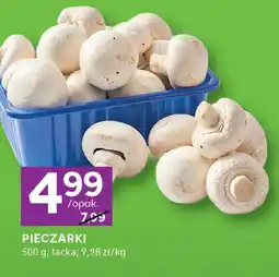 Stokrotka Pieczarki Stokrotka oferta