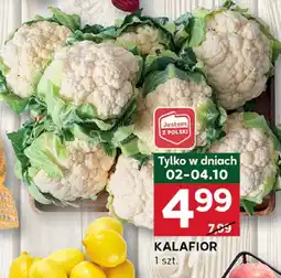 Stokrotka Kalafior 1 szt. Stokrotka oferta