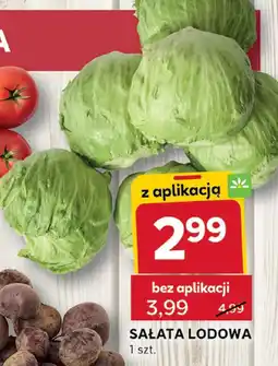 Stokrotka Sałata lodowa 1 szt. Stokrotka oferta