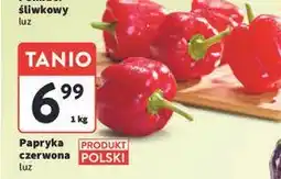 Intermarche Papryka czerwona polska oferta