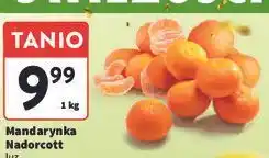 Intermarche Mandarynki nadorcott oferta
