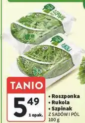 Intermarche Szpinak młody Z Sadów I Pól oferta