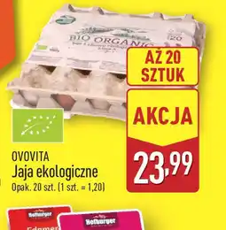 ALDI Jaja ekologiczne Ovovita oferta