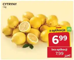 Stokrotka Market Cytryny oferta