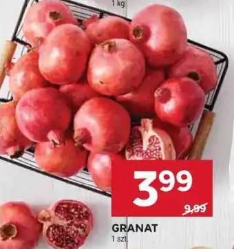 Stokrotka Market Granat oferta