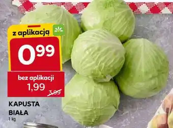 Stokrotka Market Kapusta biała oferta