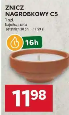 Stokrotka Market Znicz nagrobkowy C5 oferta