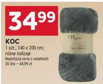 Stokrotka Market Koc oferta
