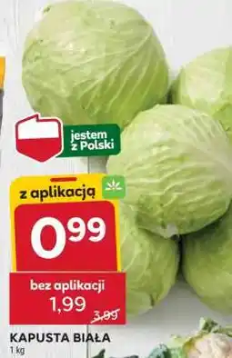 Stokrotka Market Kapusta biała oferta