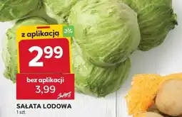 Stokrotka Market Sałata lodowa oferta