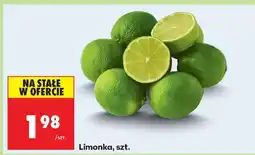 Biedronka Limonka szt oferta