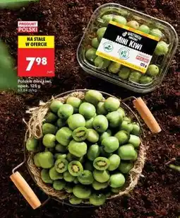 Biedronka Polskie mini kiwi opak . 125 g oferta
