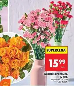 Biedronka Gozdzik premium 12 szt oferta