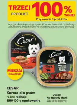 Kaufland CESAR Karma dla psów oferta