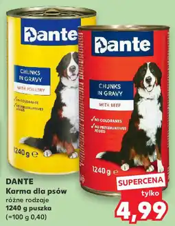 Kaufland DANTE Karma dla psów oferta