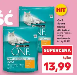 Kaufland ONE Sucha karma dla kotów oferta