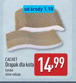 ALDI Drapak dla kota Cachet oferta