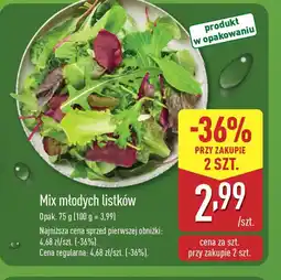 ALDI Mix młodych listków oferta