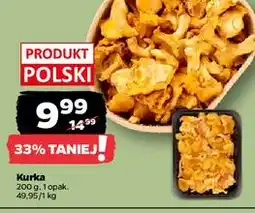 Netto Kurki - całe oferta