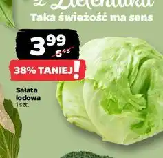 Netto Sałata lodowa oferta